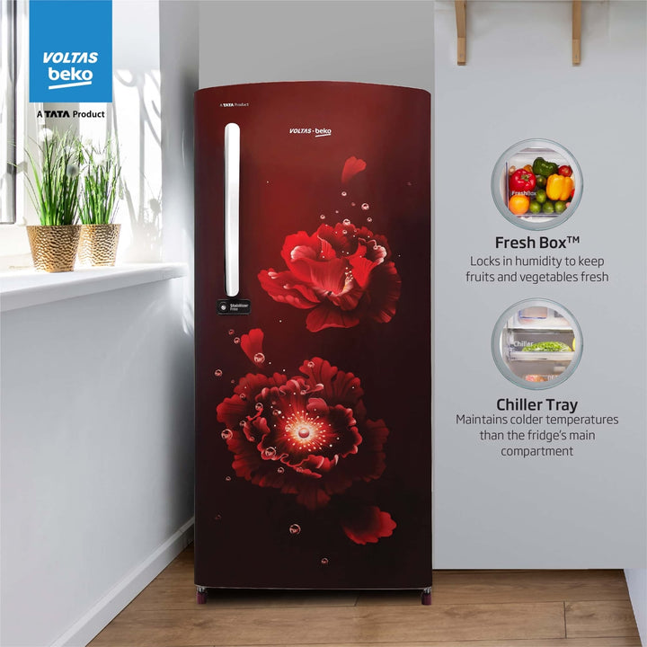 Voltas Beko 185 L, 4 Star, Single Door DC Refrigerator (Fairy Flower Wine)
